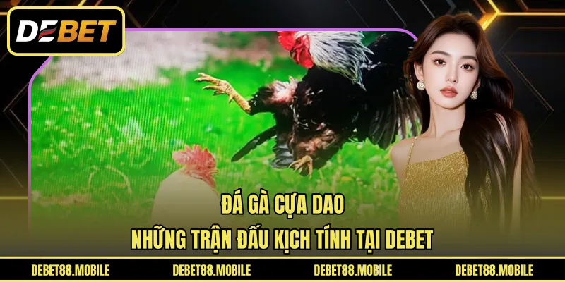Đá Gà Cựa Dao | Những Trận Đấu Kịch Tính Tại DEBET