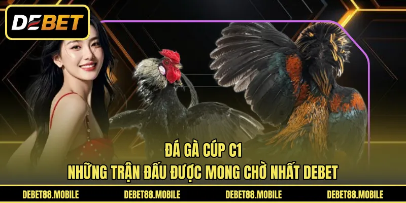 Đá Gà Cúp C1 | Những Trận Đấu Được Mong Chờ Nhất DEBET