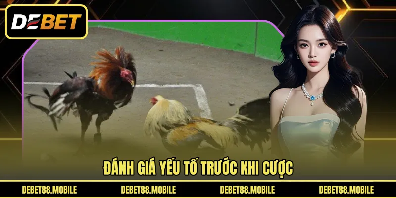 Đánh giá yếu tố trước khi cược 