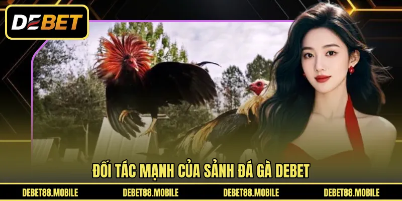 Đối tác mạnh của sảnh Đá Gà DEBET