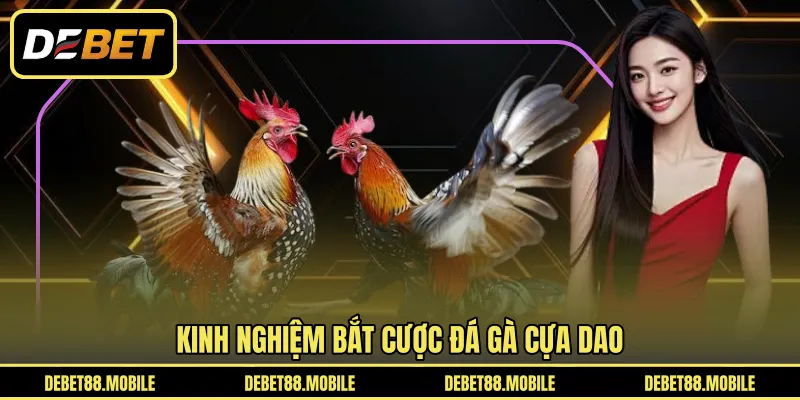 Kinh nghiệm bắt cược Đá Gà cựa dao