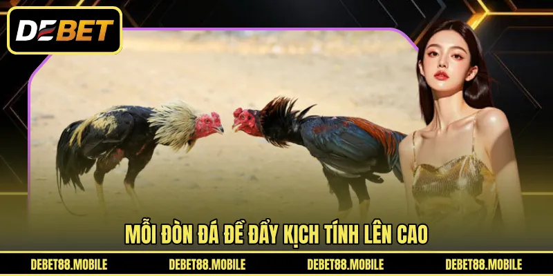 Mỗi đòn đá đề đẩy kịch tính lên cao