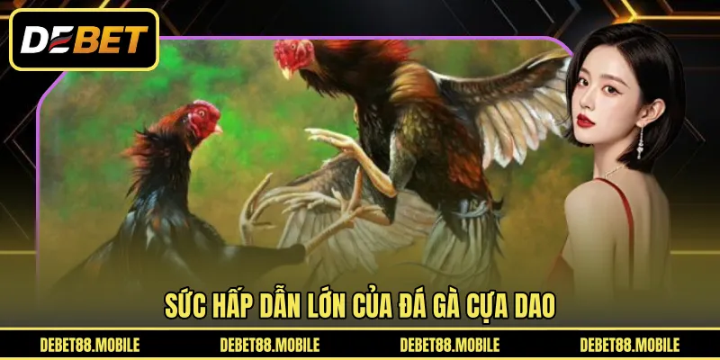 Sức hấp dẫn lớn của Đá Gà cựa dao