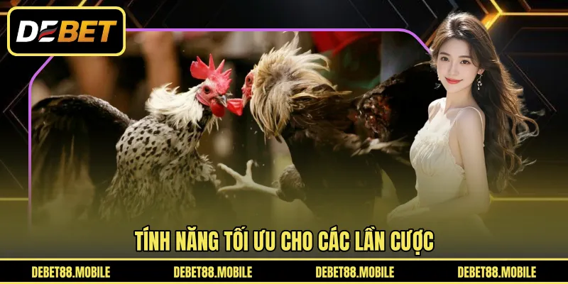 Tính năng tối ưu cho các lần cược 